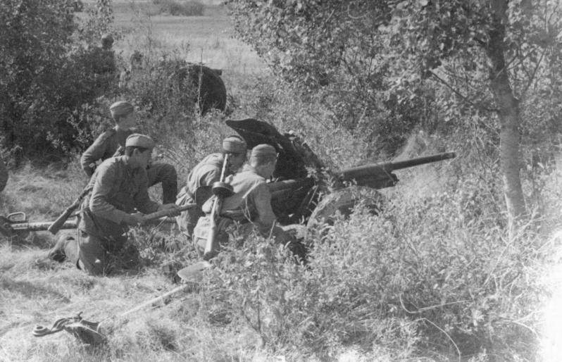 45-мм пушка ведет огонь с замаскированной позиции. Брянская область, сентябрь 1943