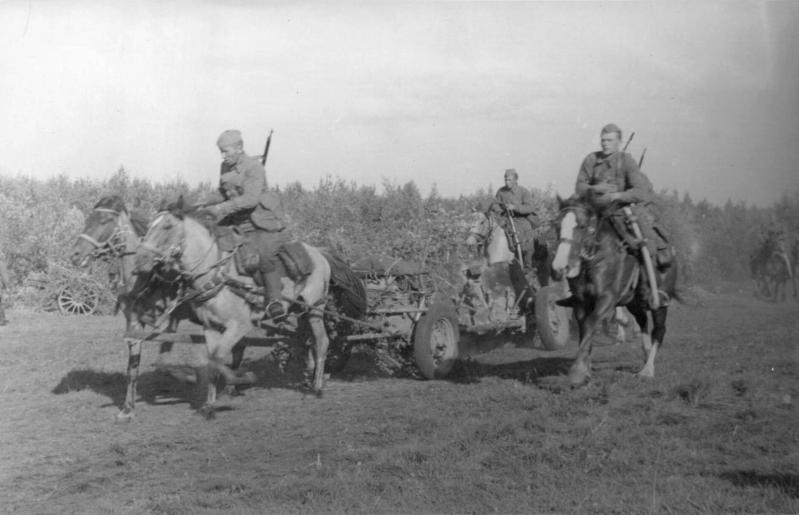 Артиллеристы буксируют 45-мм пушку. Брянская область, сентябрь 1943